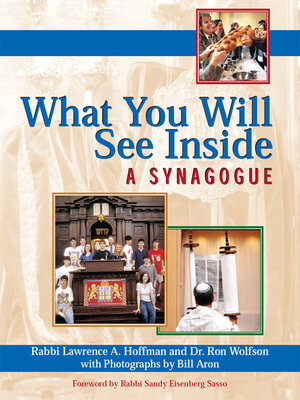 cover image of What You Will See Inside a Synagogue